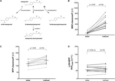 Cytochrome P450 Enzymes Involved in Metoprolol Metabolism and Use of Metoprolol as a CYP2D6 Phenotyping Probe Drug